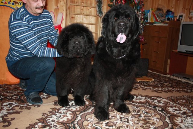 Фотография № 56805