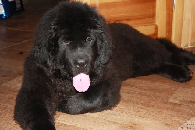 Фотография № 56806