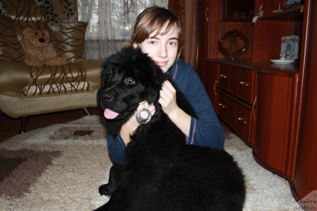 Фотография № 56808