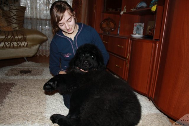 Фотография № 56809