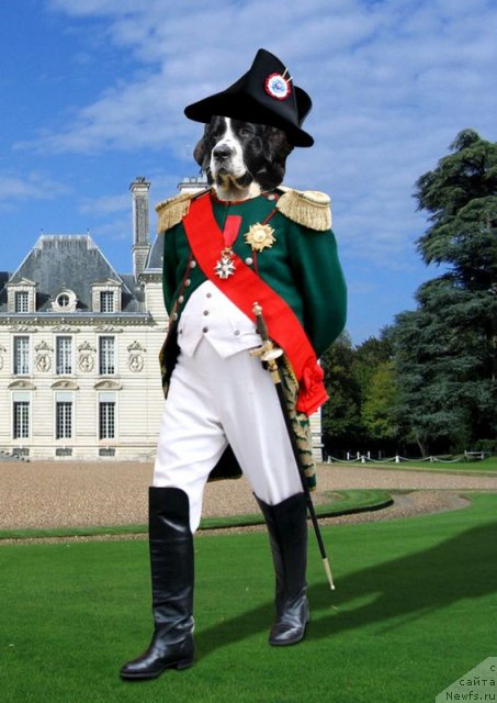 Фотография № 56812