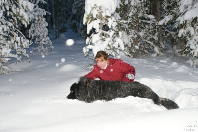 Фотография № 56821