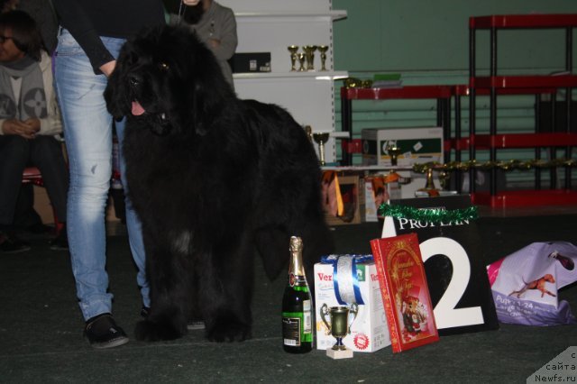 Фотография № 56824