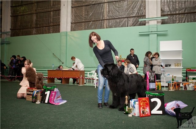 Фотография № 56826