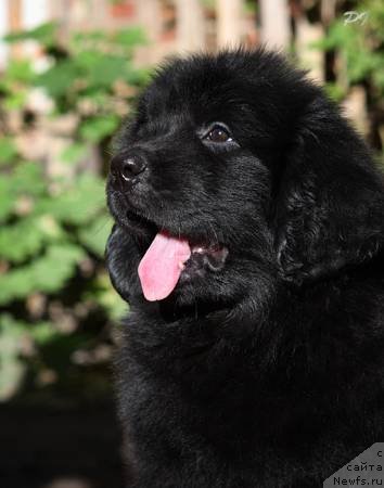 Фото: Татьяна Гафарова