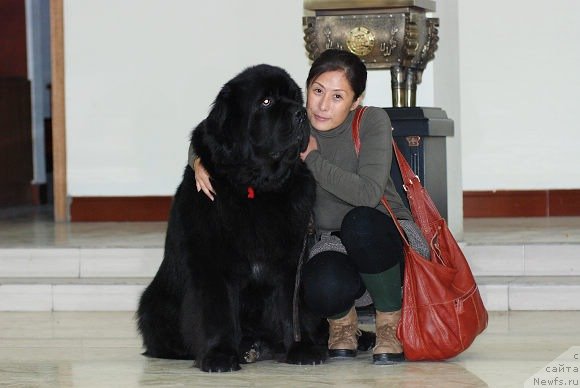 Фотография № 56855