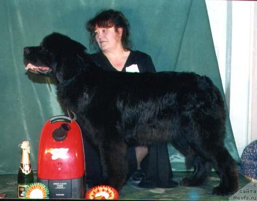 Фотография № 5686