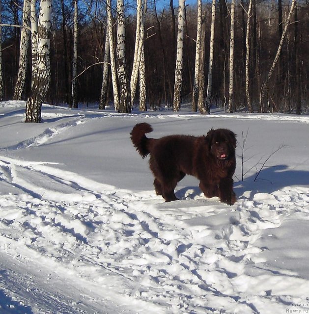 Фотография № 56870