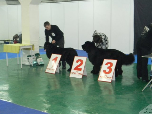 Фото: Потап Юнитер