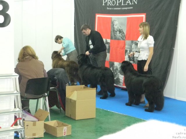 Фото: Потап Юнитер