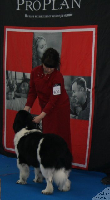 Фото: Фиаметтахауз Мартини Бьянка