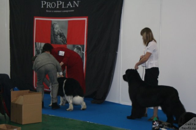 Фотография № 57043