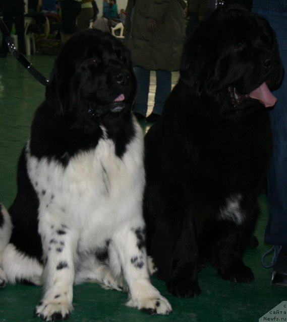 Фотография № 57045