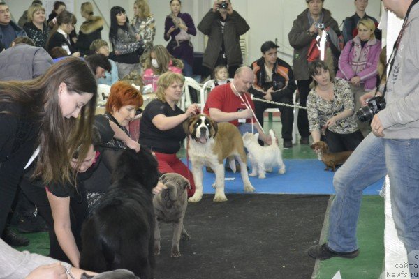 Фотография № 57058