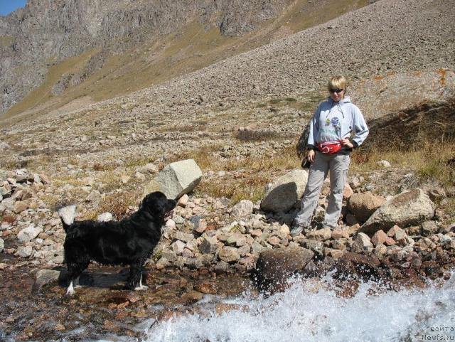 Фото: ньюфаундленд Маг Исполин Елана (Mag Ispolin Elana), Елена Зайцева (Замятина)
