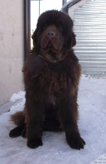 Фотография № 57123