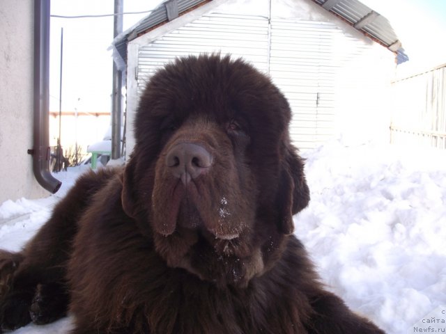 Фотография № 57124