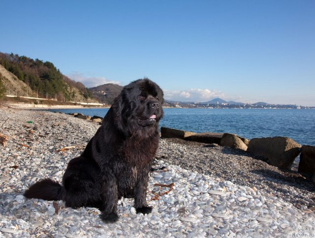 Фотография № 57127