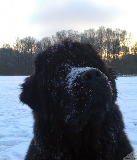 Фотография № 57147