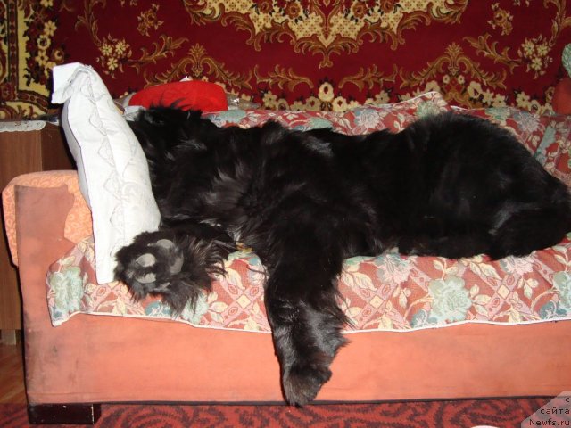 Фото: Елена Матюшкова