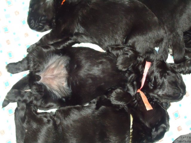 Фото: уютная долина