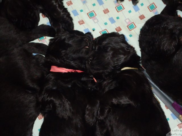 Фото: уютная долина