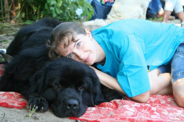 Фото: ньюфаундленд Усатый Нянь Тимоша, Юлия Наумова