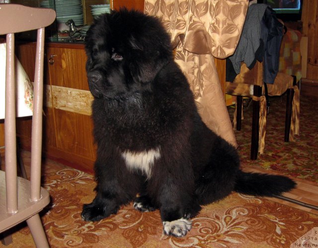 Фотография № 57246