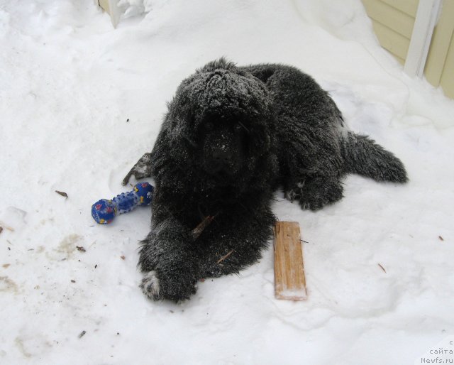 Фотография № 57250