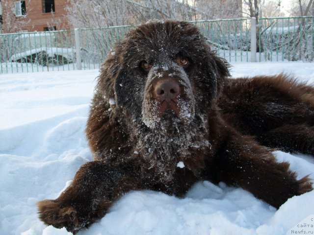 Фотография № 57303