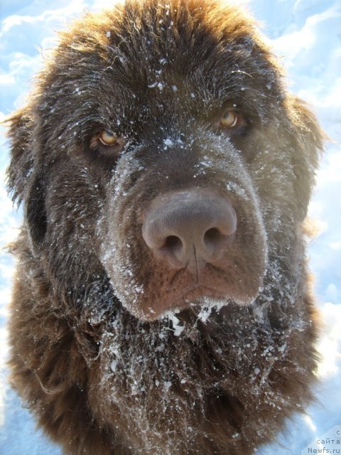 Фотография № 57307