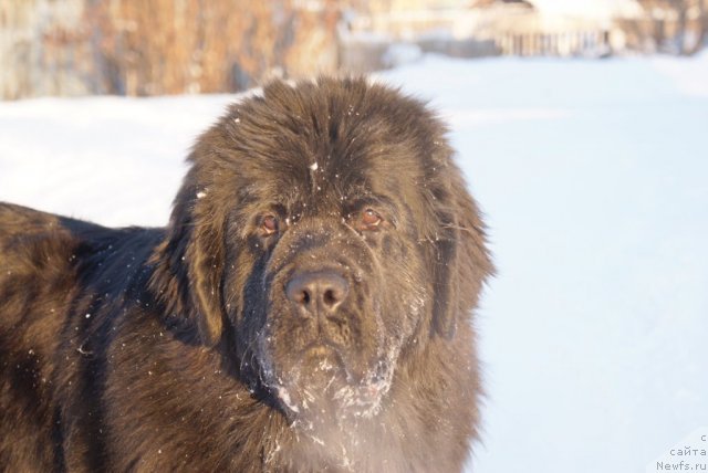 Фотография № 57436