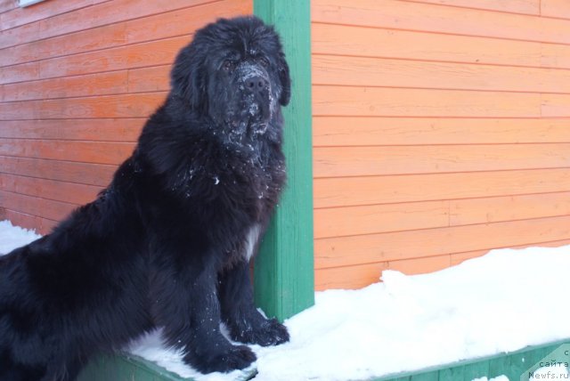 Фотография № 57438