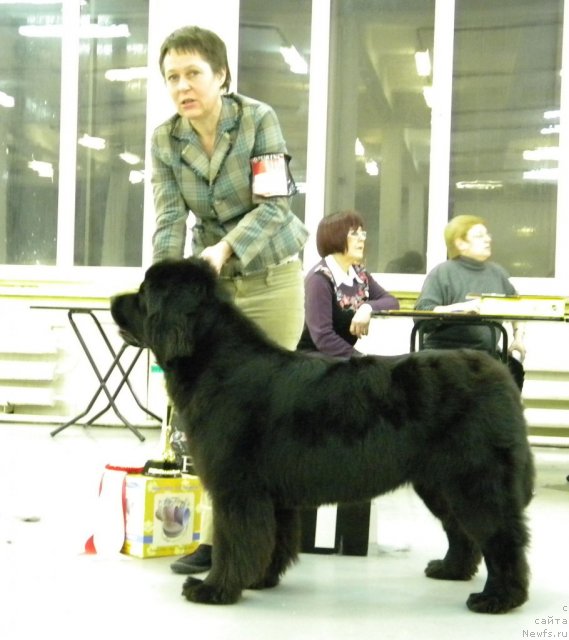 Фотография № 57447