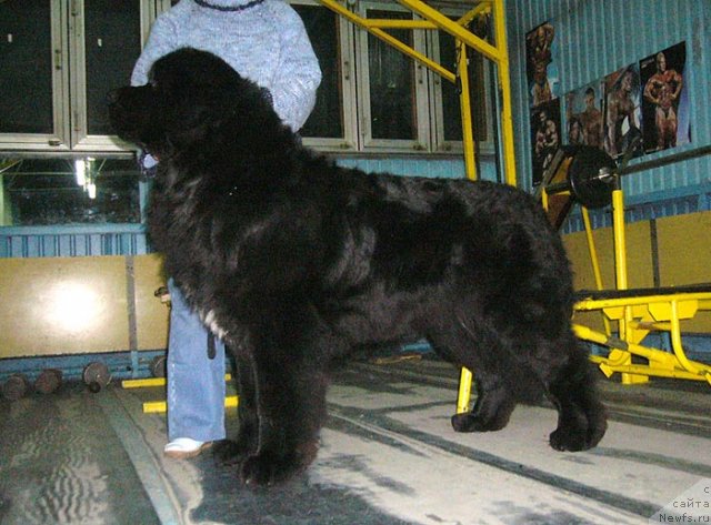 Фотография № 57455