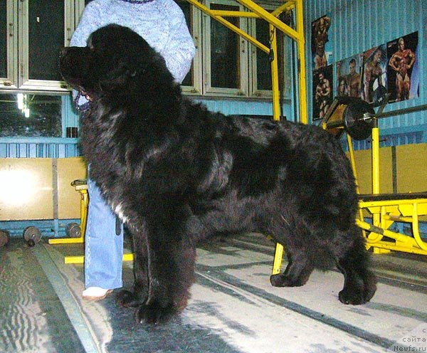 Фотография № 57456