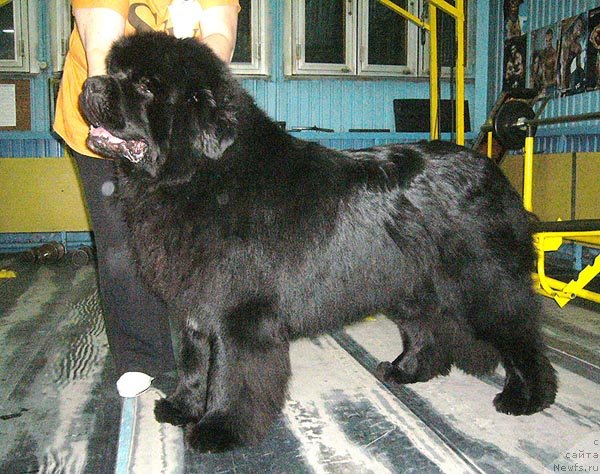 Фотография № 57457