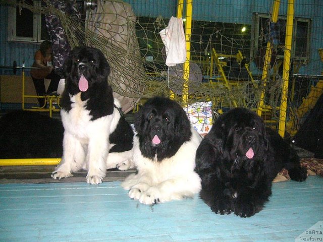 Фотография № 57464