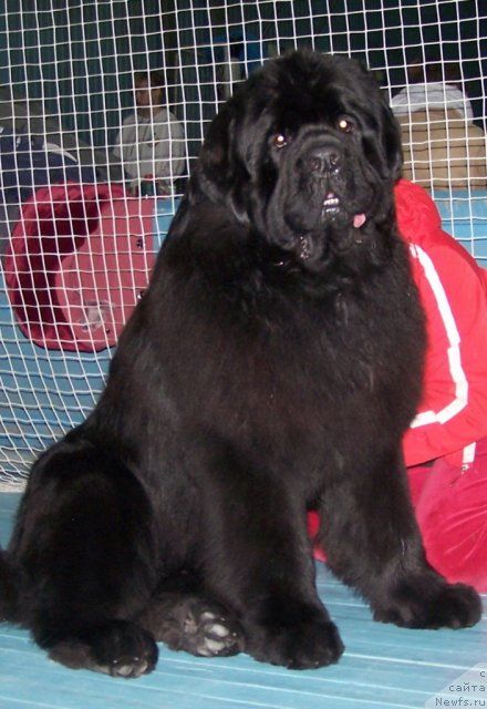 Фотография № 57468