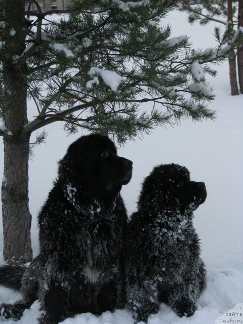 Фотография № 57491