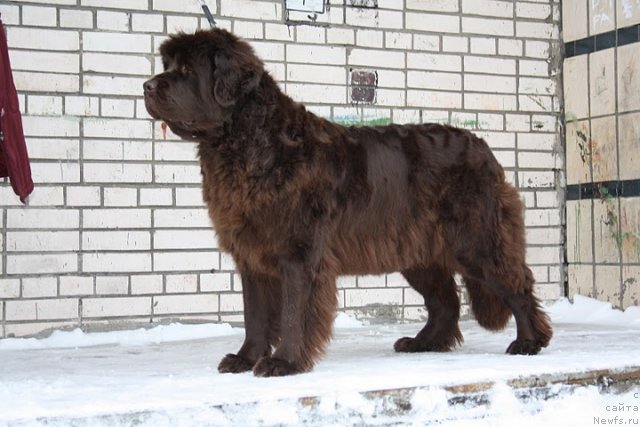 Фотография № 57534