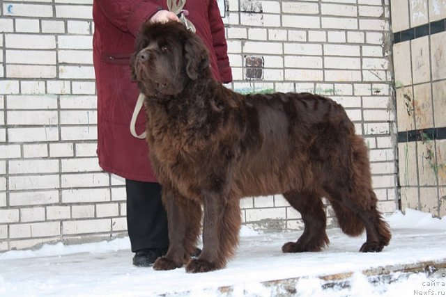 Фотография № 57536