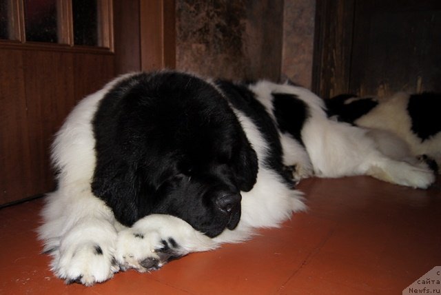 Фотография № 57548