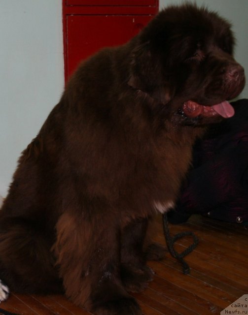 Фотография № 57562