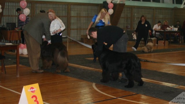 Фотография № 57563