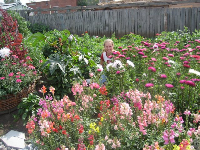 Фотография № 57582