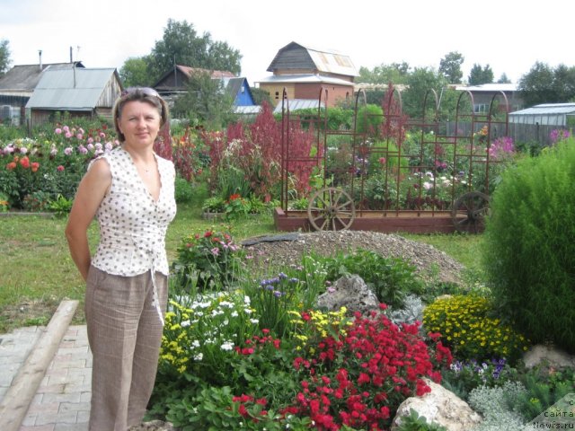 Фотография № 57584