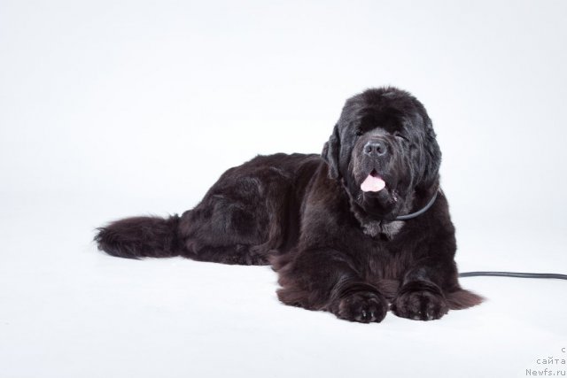 Фотография № 57605