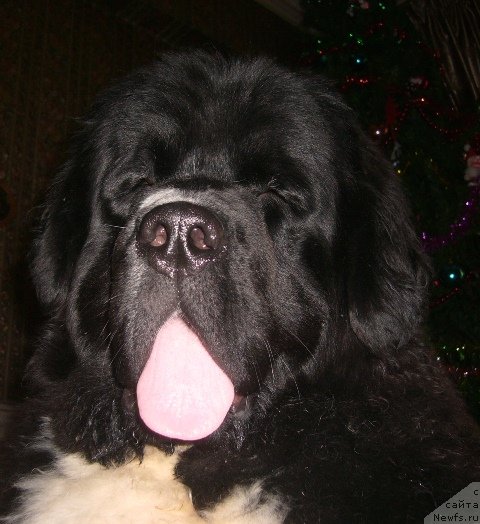 Фотография № 57616