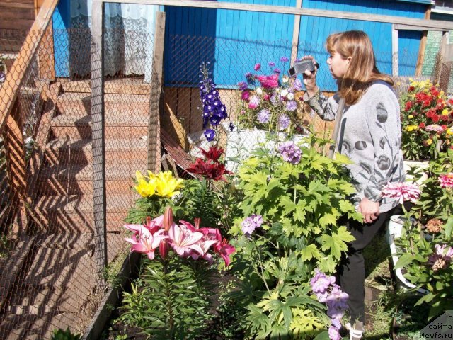 Фотография № 57625